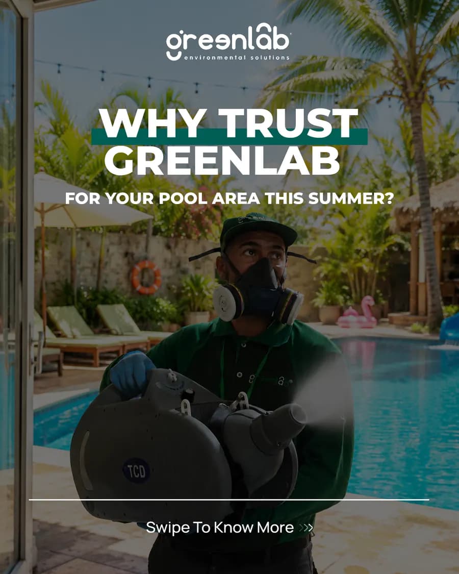 GreenLab social media post about summer pest control for pool areas.