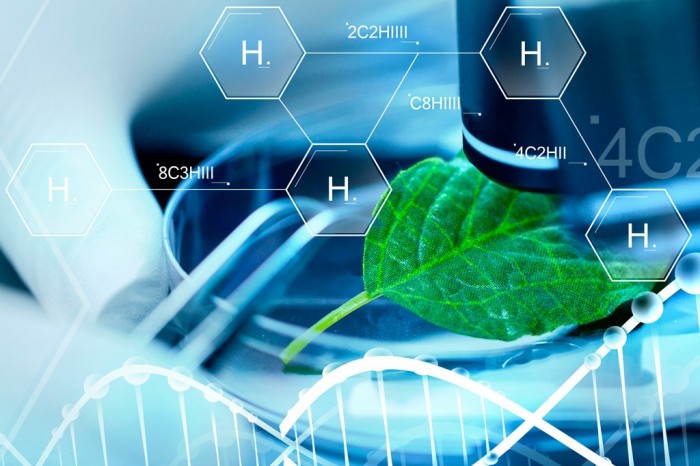 Laboratory scene with green leaf
