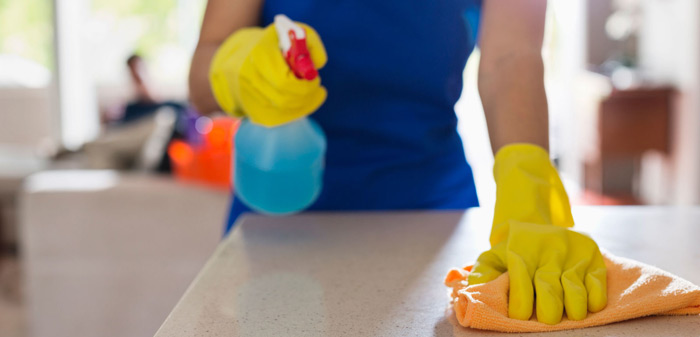 Professional sanitizing service